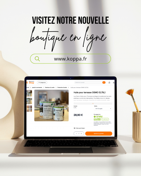 nouvelleboutiqueenligne.png